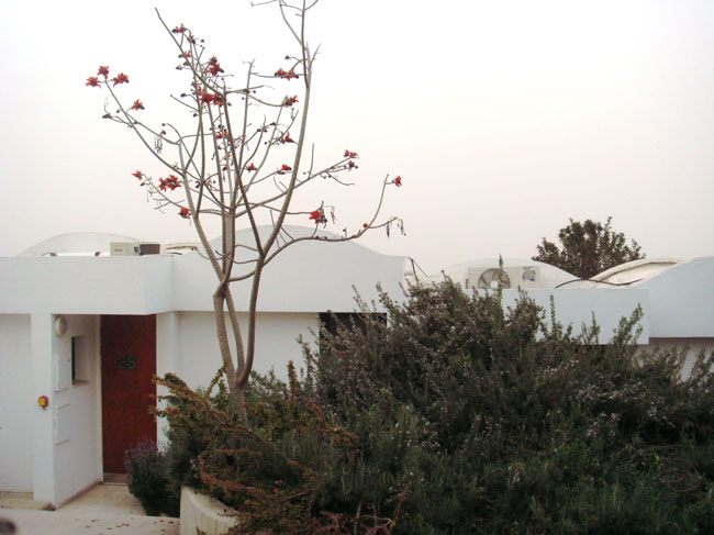 Une maison de Neve-Shalom Wahat al Salam