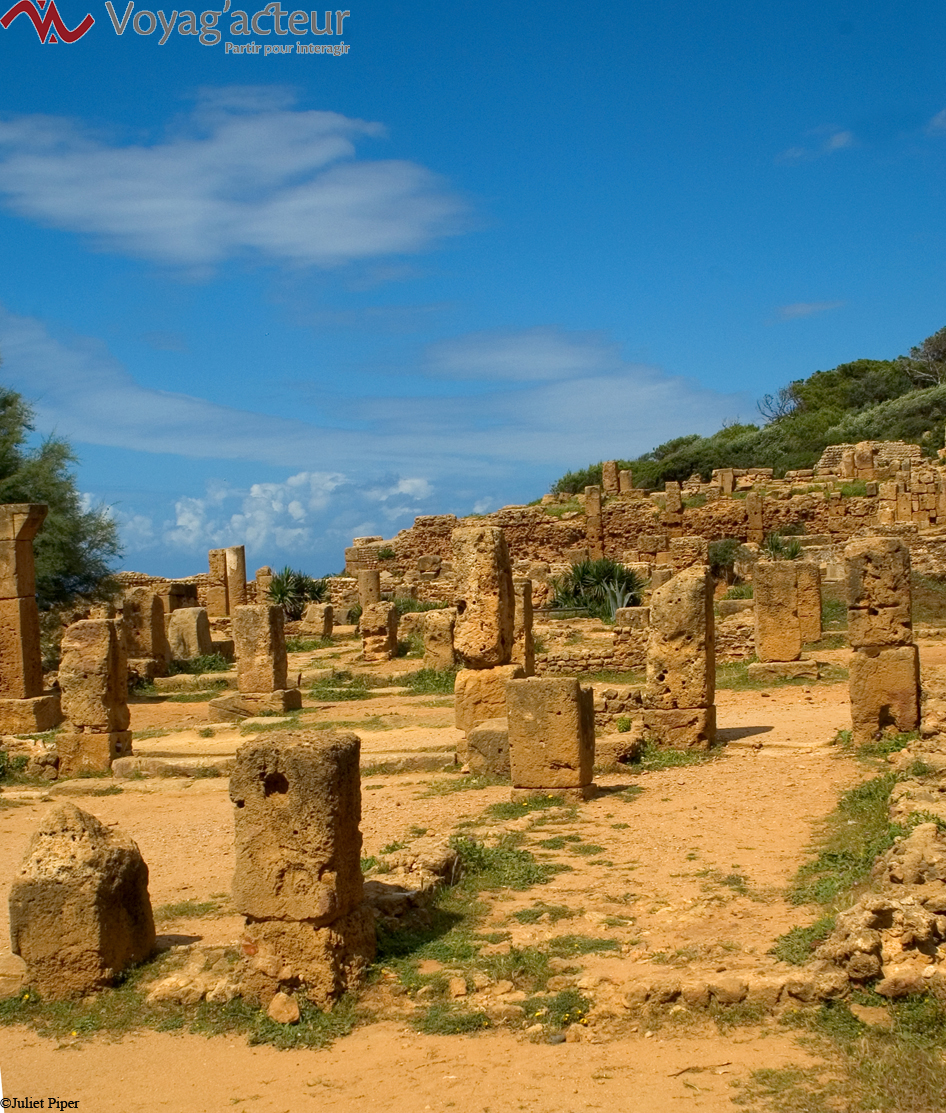 Au pied de la montagne, les ruines de Tipaza faisant face à la mer, appellent à une silencieuse contemplation