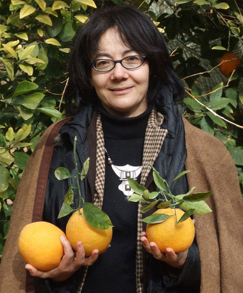 Comment résister à de telles oranges toutes fraîches et juteuses, juste cueillies sur l'arbre 