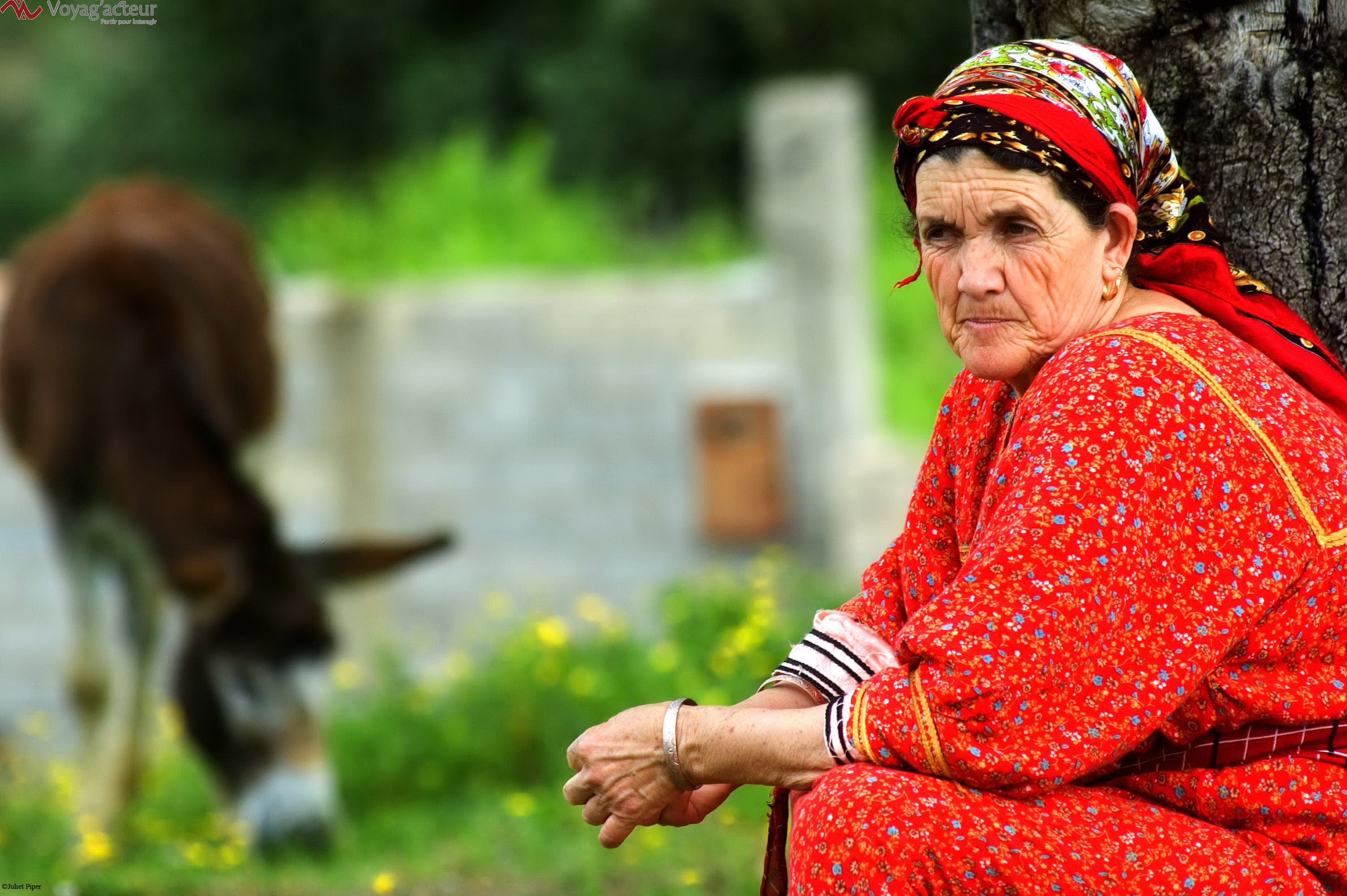 Pensive, une femme kabyle garde un œil sur ses animaux 